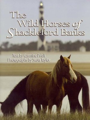 cover image of Wild Horses of Shackleford Banks